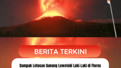 Dampak Letusan Gunung Lewotobi Laki-Laki di Flores Timur, Siswa SD di Maumere Dipulangkan