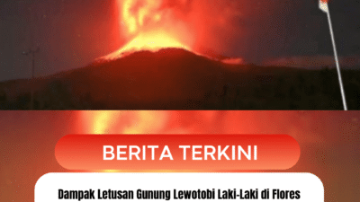 Dampak Letusan Gunung Lewotobi Laki-Laki di Flores Timur, Siswa SD di Maumere Dipulangkan