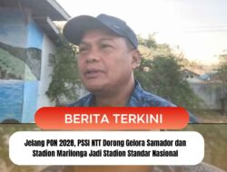 Jelang PON 2028, PSSI NTT Dorong Gelora Samador dan Stadion Marilonga Jadi Stadion Standar Nasional