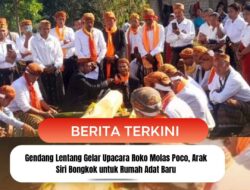 Gendang Lentang Gelar Upacara Roko Molas Poco, Arak Siri Bongkok untuk Rumah Adat Baru