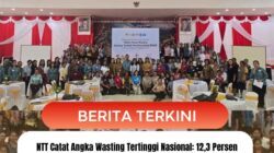 NTT Catat Angka Wasting Tertinggi Nasional: 12,3 Persen Balita Alami Gizi Kurang dan Gizi Buruk