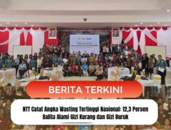 NTT Catat Angka Wasting Tertinggi Nasional: 12,3 Persen Balita Alami Gizi Kurang dan Gizi Buruk