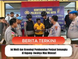Ini Motif dan Kronologi Pembunuhan Penjual Semangka di Kupang: Awalnya Mau Mencuri