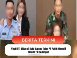 Viral NTT, Bidan di Kota Kupang Telan Pil Pahit Dihamili Oknum TNI Gadungan