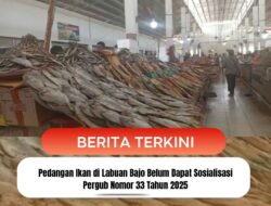 Pedangan Ikan di Labuan Bajo Belum Dapat Sosialisasi Pergub Nomor 33 Tahun 2025