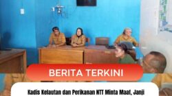 Kadis Kelautan dan Perikanan NTT Minta Maaf, Janji Tinjau Ulang Aturan Retribusi