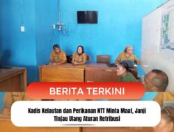 Kadis Kelautan dan Perikanan NTT Minta Maaf, Janji Tinjau Ulang Aturan Retribusi