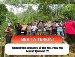 Ratusan Pohon untuk Mata Air Wae Ketu, Pasca Mou Pemkab Ngada dan YPF