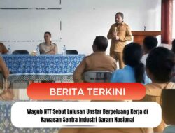 Wagub NTT Sebut Lulusan Unstar Berpeluang Kerja di Kawasan Sentra Industri Garam Nasional