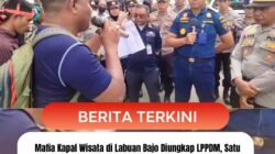 Mafia Kapal Wisata di Labuan Bajo Diungkap LPPDM, Satu Kapal Dipungut Rp 10 Juta
