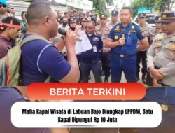 Mafia Kapal Wisata di Labuan Bajo Diungkap LPPDM, Satu Kapal Dipungut Rp 10 Juta