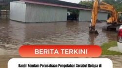 Banjir Rendam Perusahaan Pengolahan Serabut Kelapa di Hurabegor Sikka