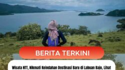 Wisata NTT,  Nikmati Keindahan Destinasi Baru di Labuan Bajo, Lihat Hamparan Pulau dari Atas Bukit