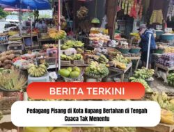Pedagang Pisang di Kota Kupang Bertahan di Tengah Cuaca Tak Menentu