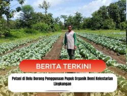 Petani di Belu Dorong Penggunaan Pupuk Organik Demi Kelestarian Lingkungan