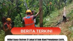 Akibat Cuaca Ekstrem 21 Lokasi di Ende Alami Pemadaman Listrik, Dua Lokasi Masih Ditangani 