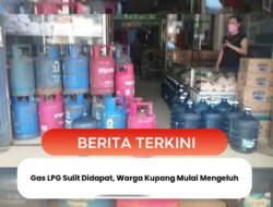 Gas LPG Sulit Didapat, Warga Kupang Mulai Mengeluh