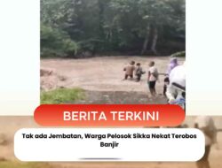 Tak ada Jembatan, Warga Pelosok Sikka Nekat Terobos Banjir