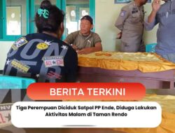 Tiga Perempuan Diciduk Satpol PP Ende, Diduga Lakukan Aktivitas Malam di Taman Rendo