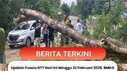 Update Cuaca NTT Hari Ini Minggu 22 Februari 2026, BMKG Peringatkan Waspada Angin Kencang