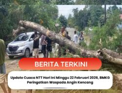 Update Cuaca NTT Hari Ini Minggu 22 Februari 2026, BMKG Peringatkan Waspada Angin Kencang