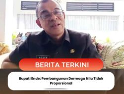 Bupati Ende: Pembangunan Dermaga Nila Tidak Proporsional