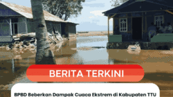 BPBD Beberkan Dampak Cuaca Ekstrem di Kabupaten TTU