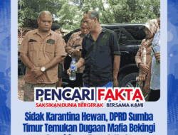 Sidak Karantina Hewan, DPRD Sumba Timur Temukan Dugaan Mafia Bekingi Pengiriman Ternak Kuda