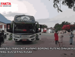 Pelayanan Bus Trans NTT Kupang-Borong-Ruteng Dinilai Rugikan Penumpang, Bus Sering Rusak