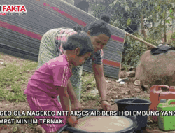 Warga Geo Ola Nagekeo NTT Akses Air Bersih di Embung yang Juga Jadi Tempat Minum Ternak 