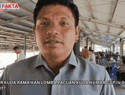 683 Ekor Kuda Ramaikan Lomba Pacuan Kuda Humba Cup IV di Sumba Timur NTT