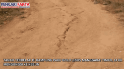 Tanah Terbelah di Kampung Paku Golo Linus Manggarai Timur, 14 KK Mengungsi ke Kebun