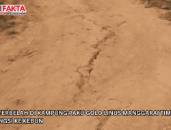 Tanah Terbelah di Kampung Paku Golo Linus Manggarai Timur, 14 KK Mengungsi ke Kebun