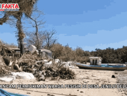 Abrasi Ancam Permukiman Warga Pesisir di Desa Jenilu Belu