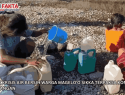 Dampak Krisis Air Bersih Warga Magelo’o Sikka Terpaksa Konsumsi Air Kubangan