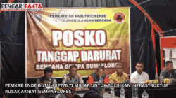 Pemkab Ende Butuh Rp776,71 Miliar untuk Pulihkan Infrastruktur Rusak akibat Gempa Flores