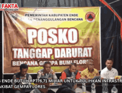 Pemkab Ende Butuh Rp776,71 Miliar untuk Pulihkan Infrastruktur Rusak akibat Gempa Flores