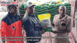 Bulog dan Pemkab Ngada Salurkan 86,8 Ton Beras CBP ke Korban Gempa Ngada, Pastikan Stok Aman
