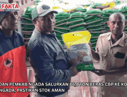Bulog dan Pemkab Ngada Salurkan 86,8 Ton Beras CBP ke Korban Gempa Ngada, Pastikan Stok Aman